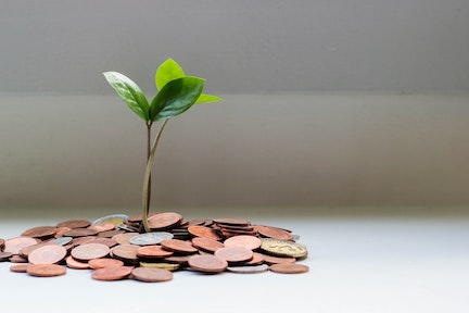 Own Your Finances