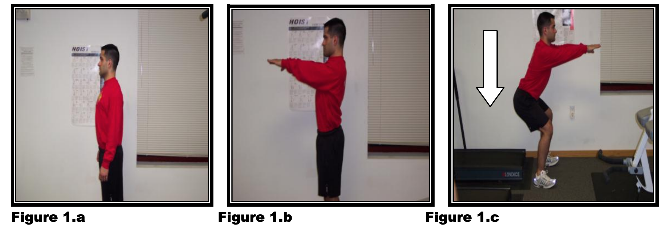 ESTABLISHING A FOUNDATION&##x3a;  &##xa;Leg Strength for Young Goaltenders