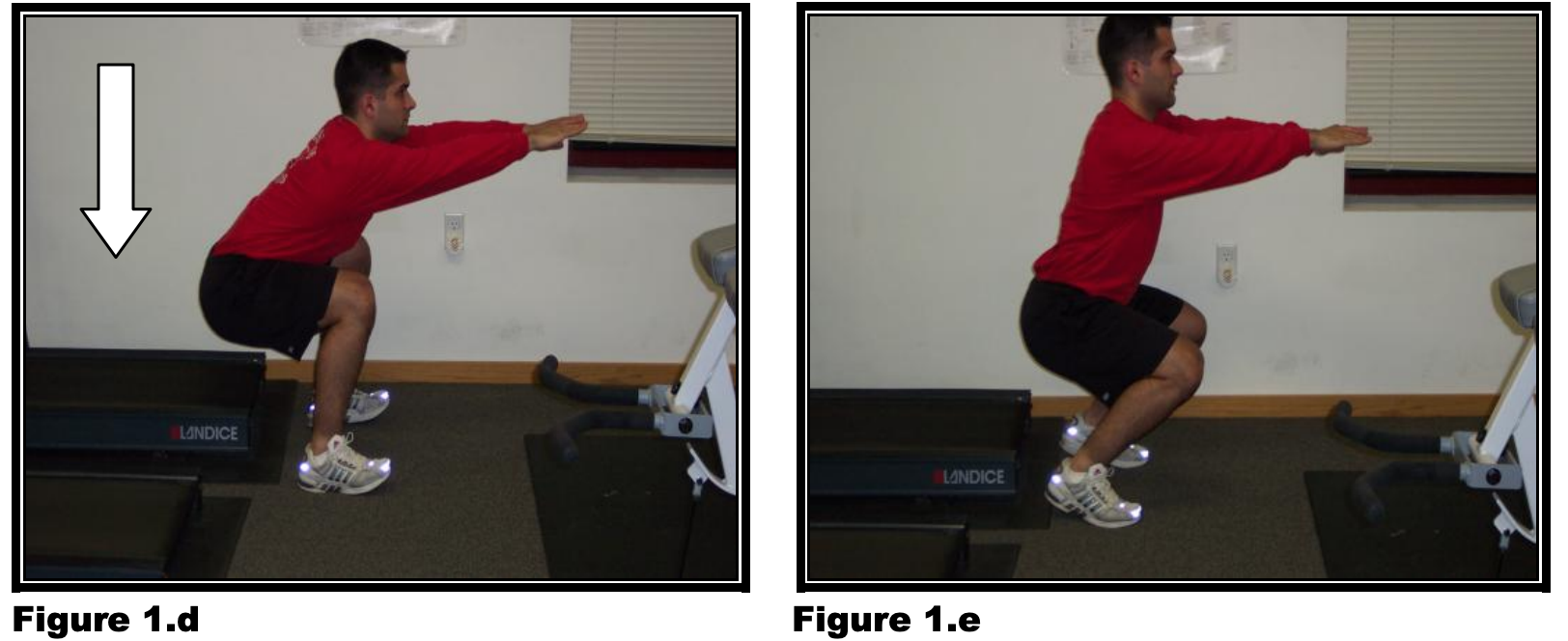 ESTABLISHING A FOUNDATION&##x3a;  &##xa;Leg Strength for Young Goaltenders