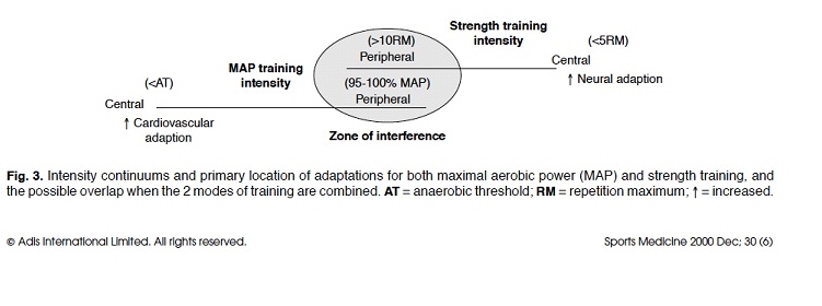 My Thoughts on Aerobic Training and Hockey As It Relates to Preparation