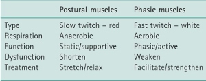 Upper and Lower Crossed Syndromes in Hockey