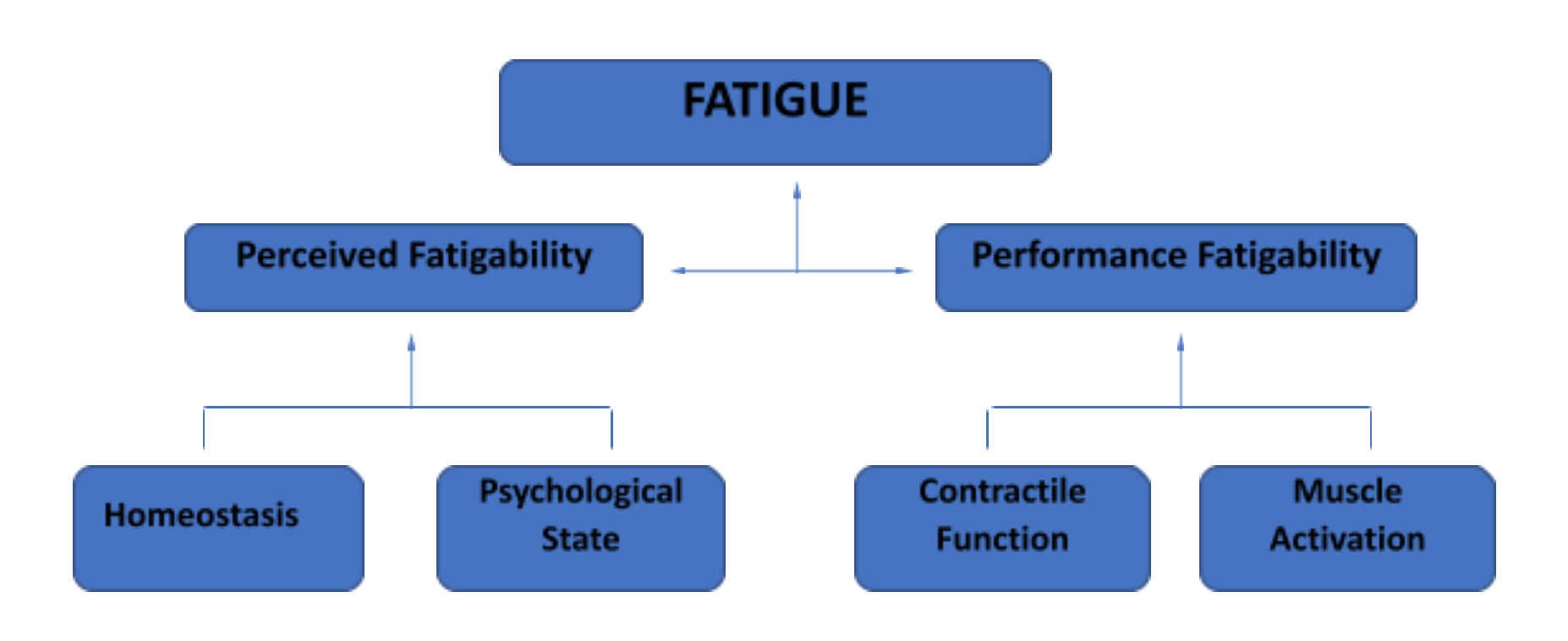Monitoring Fatigue for Hockey